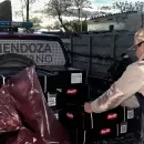 Inspecciones exitosas: decomisaron casi 300 kilos de carne en mal estado en Rivadavia