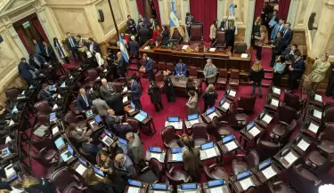 senado