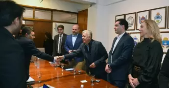 ceo