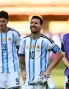 colapinto f1