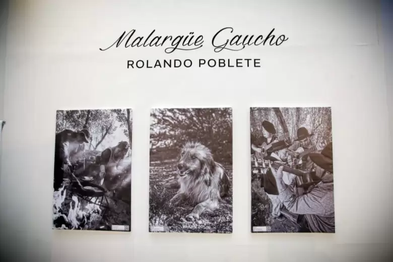 rolando-poblete
