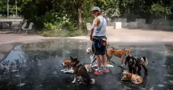primer