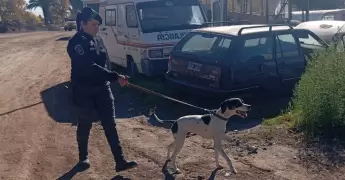 la favorita