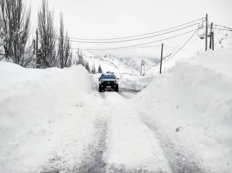 nieve