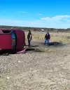colapinto f1