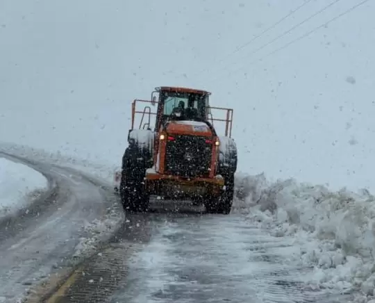 nieve temporal