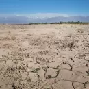 Cómo avanza el plan que definirá la estrategia climática de la provincia en los próximos años
