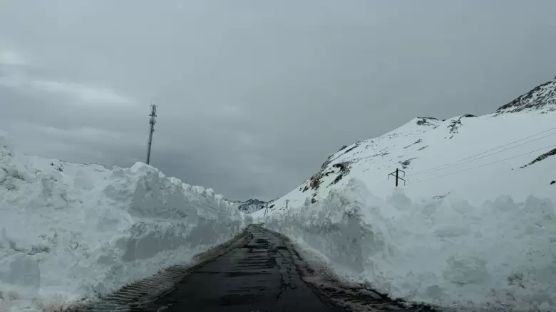 nieve