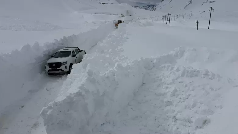 nieve